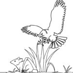 Raskrasil.com-Bald-Eagle-Coloring-Pages-29