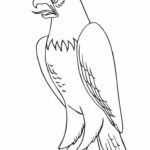 Raskrasil.com-Bald-Eagle-Coloring-Pages-30