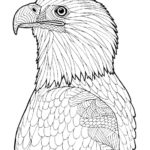 Raskrasil.com-Bald-Eagle-Coloring-Pages-34