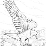 Previous Attachment