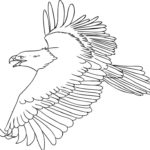 Raskrasil.com-Bald-Eagle-Coloring-Pages-5