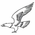 Raskrasil.com-Bald-Eagle-Coloring-Pages-51