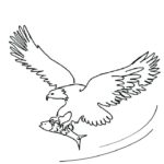 Raskrasil.com-Bald-Eagle-Coloring-Pages-53