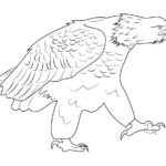 Raskrasil.com-Bald-Eagle-Coloring-Pages-57