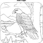 Raskrasil.com-Bald-Eagle-Coloring-Pages-58
