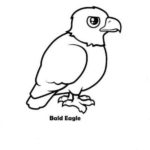 Raskrasil.com-Bald-Eagle-Coloring-Pages-59