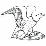 Raskrasil.com-Bald-Eagle-Coloring-Pages-60