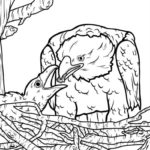 Raskrasil.com-Bald-Eagle-Coloring-Pages-68