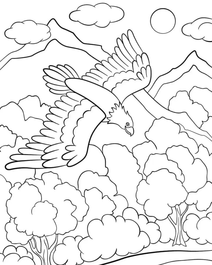 Ausmalbilder Weißkopfseeadler | Malvorlagen zum Ausdrucken