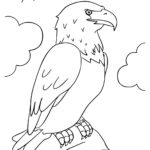 Raskrasil.com-Bald-Eagle-Coloring-Pages-72