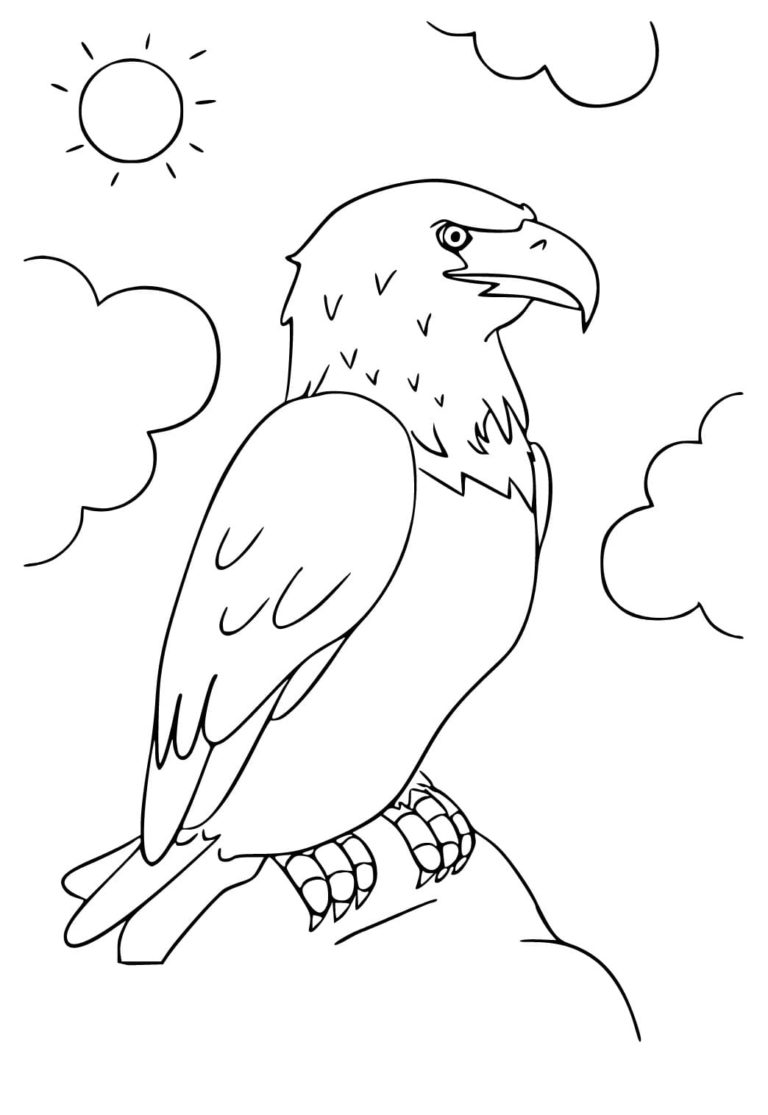 Ausmalbilder Weißkopfseeadler | Malvorlagen zum Ausdrucken