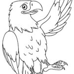 Raskrasil.com-Bald-Eagle-Coloring-Pages-77