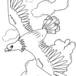 Raskrasil.com-Bald-Eagle-Coloring-Pages-88
