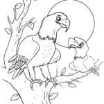 Raskrasil.com-Bald-Eagle-Coloring-Pages-89
