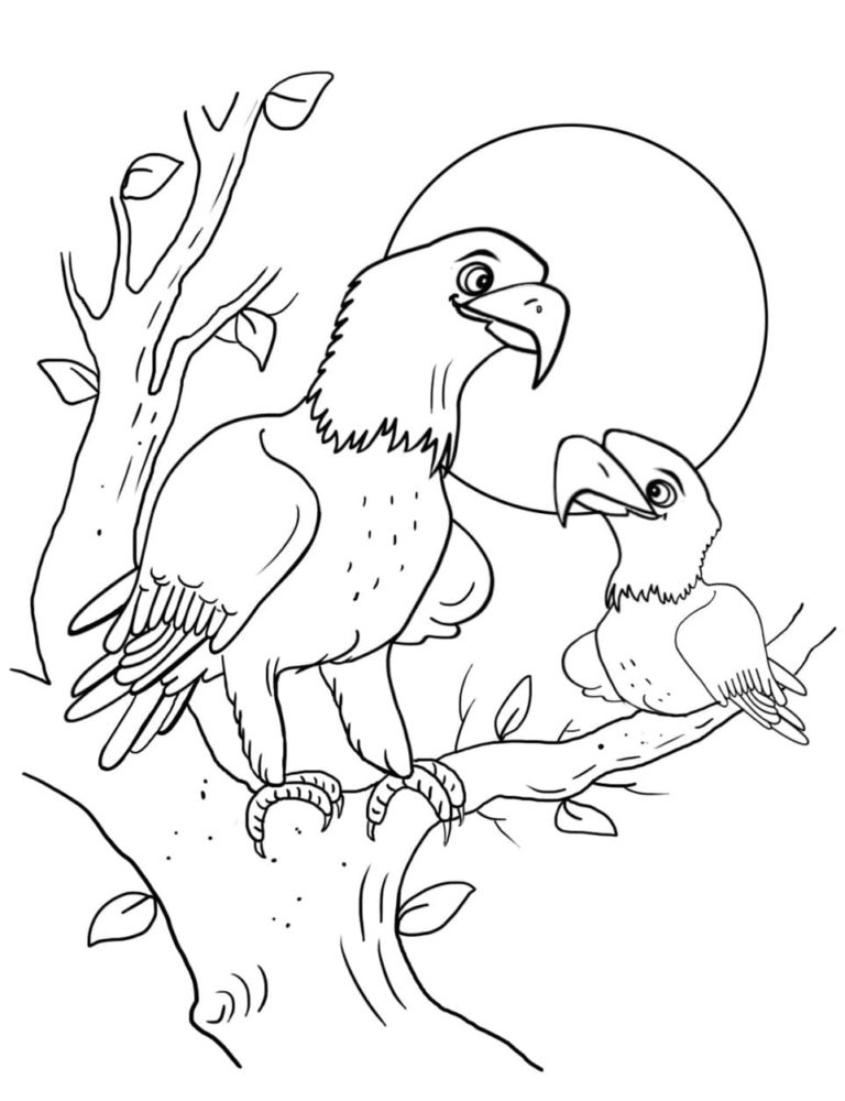 Ausmalbilder Weißkopfseeadler | Malvorlagen zum Ausdrucken