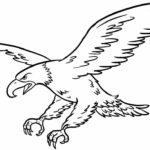 Raskrasil.com-Bald-Eagle-Coloring-Pages-9