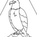 Raskrasil.com-Bald-Eagle-Coloring-Pages-90