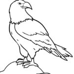 Raskrasil.com-Bald-Eagle-Coloring-Pages-93