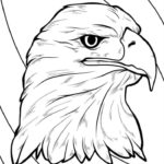 Raskrasil.com-Bald-Eagle-Coloring-Pages-95