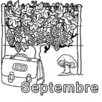 Raskrasil.com-Coloriage-Septembre-160