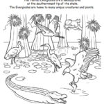 Raskrasil.com-Florida-Coloring-Pages-24