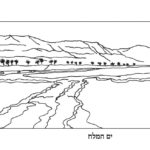 Previous Attachment