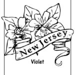 Raskrasil.com-New-Jersey-Coloring-Pages-14