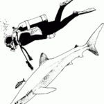 Raskrasil.com-Scuba-Diving-Coloring-Pages-27