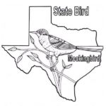 Raskrasil.com-Texas-Coloring-Pages-110