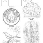 Raskrasil.com-Texas-Coloring-Pages-15