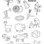 Raskrasil.com-Texas-Coloring-Pages-28