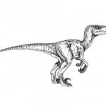 Raskrasil.com-Velociraptor-Coloring-Pages-10