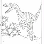 Raskrasil.com-Velociraptor-Coloring-Pages-12