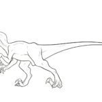 Raskrasil.com-Velociraptor-Coloring-Pages-13