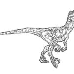 Raskrasil.com-Velociraptor-Coloring-Pages-19