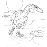 Raskrasil.com-Velociraptor-Coloring-Pages-21