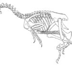 Raskrasil.com-Velociraptor-Coloring-Pages-23