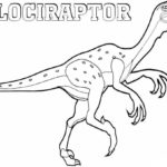 Raskrasil.com-Velociraptor-Coloring-Pages-24