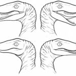 Raskrasil.com-Velociraptor-Coloring-Pages-29