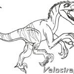 Raskrasil.com-Velociraptor-Coloring-Pages-3