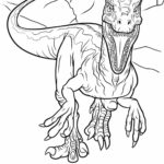 Raskrasil.com-Velociraptor-Coloring-Pages-32