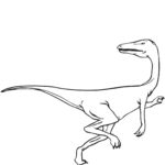 Raskrasil.com-Velociraptor-Coloring-Pages-36