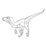 Raskrasil.com-Velociraptor-Coloring-Pages-37