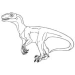 Raskrasil.com-Velociraptor-Coloring-Pages-38