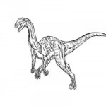 Raskrasil.com-Velociraptor-Coloring-Pages-39