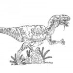 Raskrasil.com-Velociraptor-Coloring-Pages-41