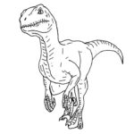Raskrasil.com-Velociraptor-Coloring-Pages-46