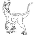 Raskrasil.com-Velociraptor-Coloring-Pages-5