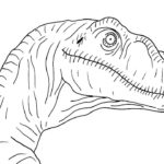 Raskrasil.com-Velociraptor-Coloring-Pages-53