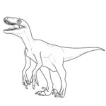 Raskrasil.com-Velociraptor-Coloring-Pages-56